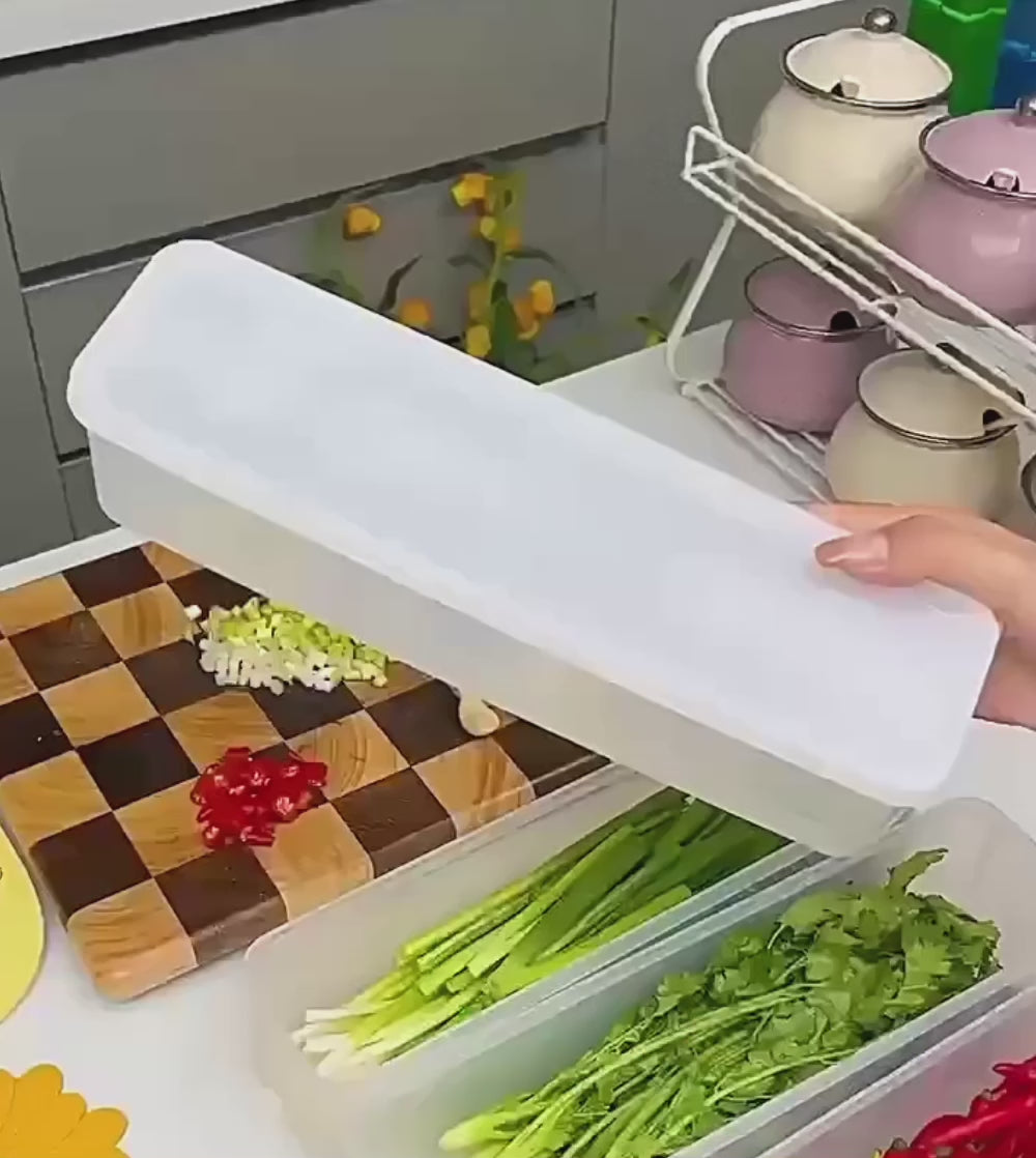 Refrigerator Storage Boxes